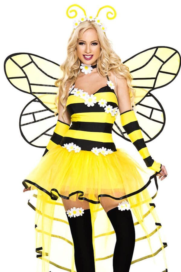 6 PC. Ladies Deluxe Queen Bee Dress Costume Set