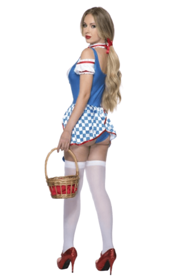 3 PC. Ladies Fantasy Farmgirl Costume Set - Image 2