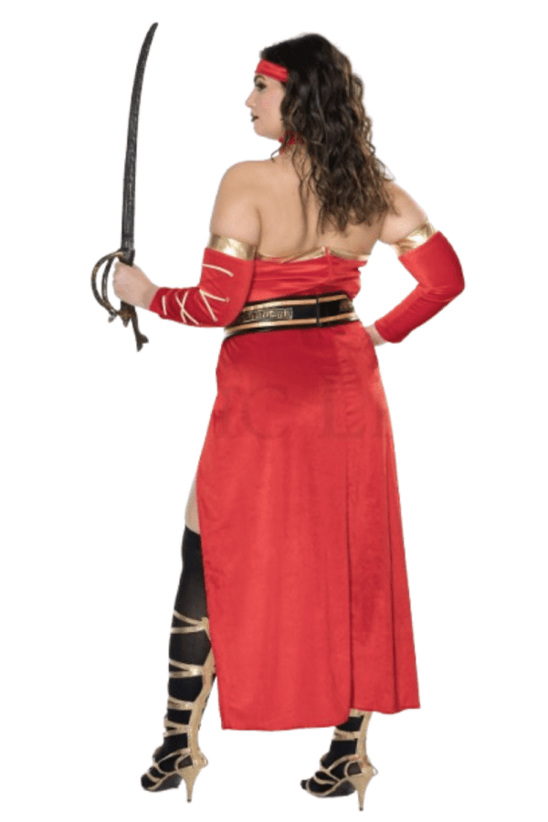 6 PC. Ladies Ancient Warrior Costume Set - Image 4