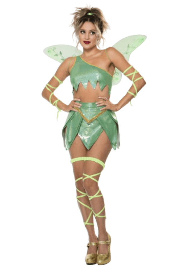 6 PC. Ladies Fantasy Fairy Costume Set